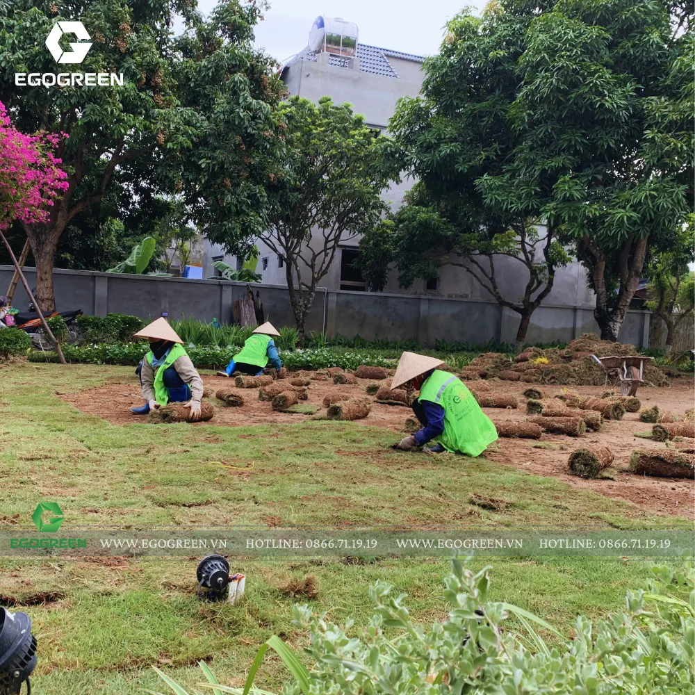 Một khu vườn biệt thự/nghỉ dưỡng sau hơn 5 năm sử dụng vẫn giữ được vẻ xanh mát nhờ thiết kế và chăm sóc đúng cách. 